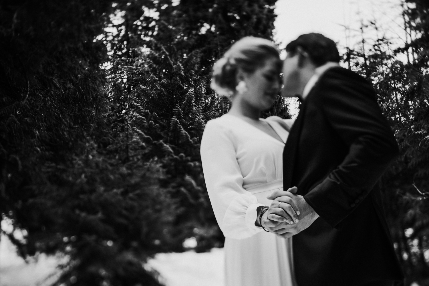 whistler elopement photographer