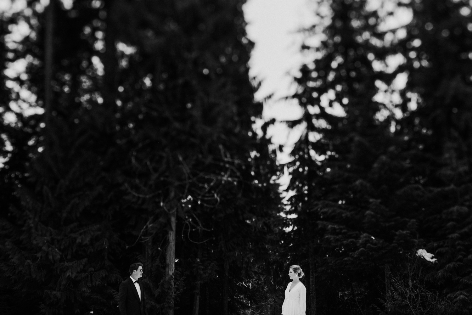 whistler elopement photographer