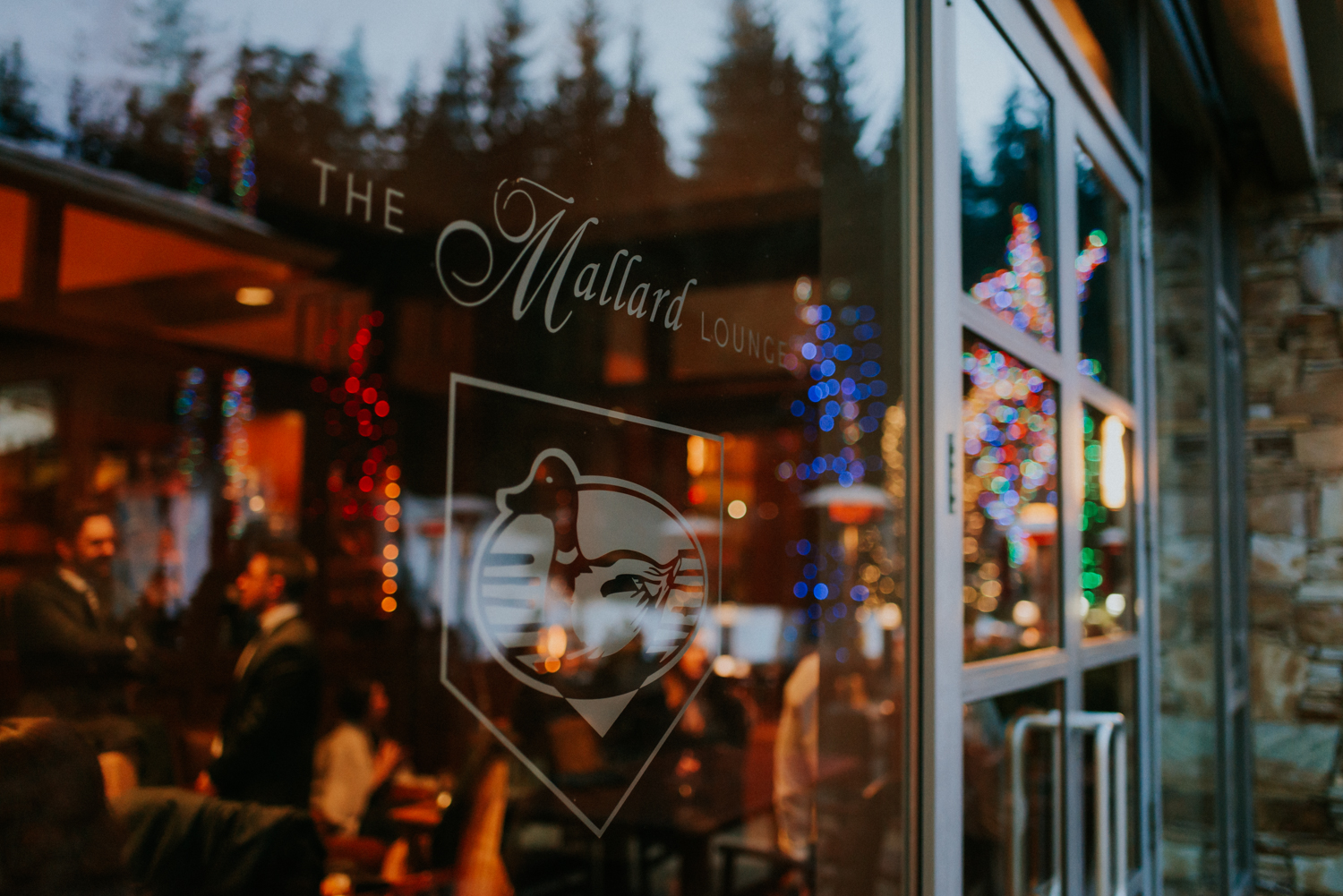 whistler elopement photographer